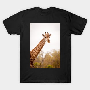 Head shot of a giraffe T-Shirt